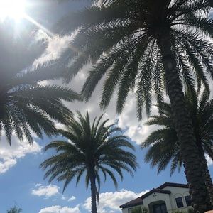 Meet your Posher, Annie